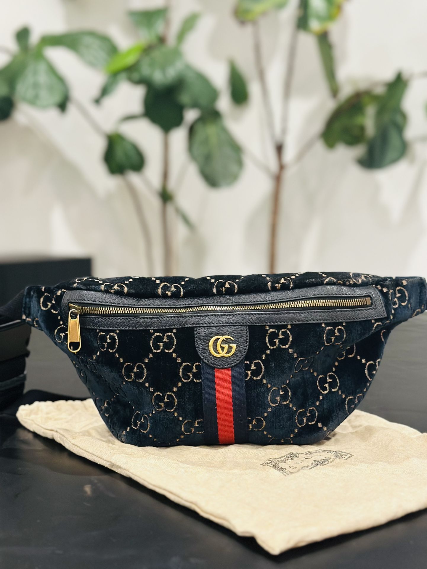 Gucci bag