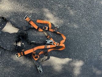 Safety Harness