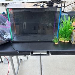 Fish Tank