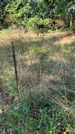 Barbed wire