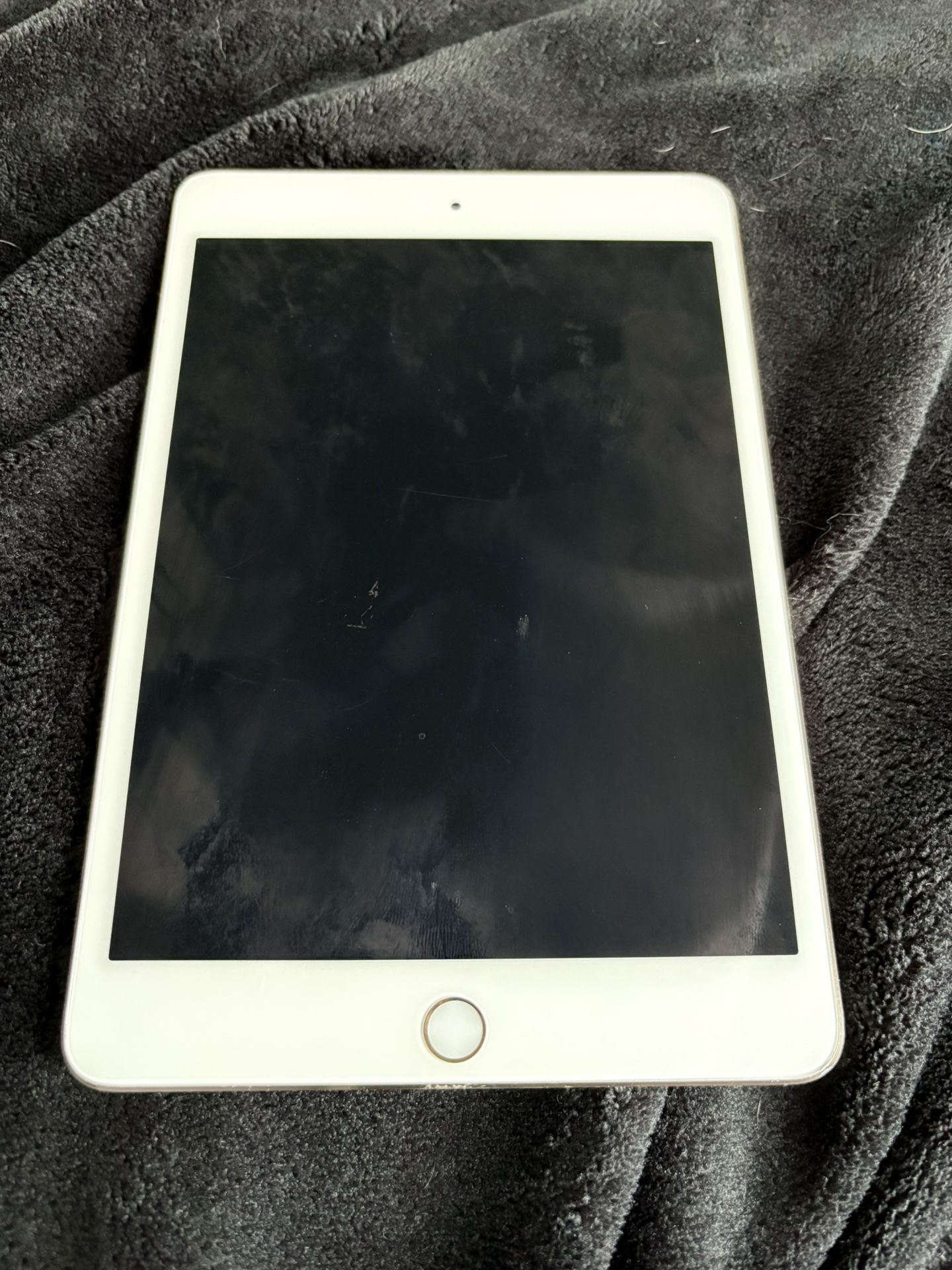 ipad mini 4