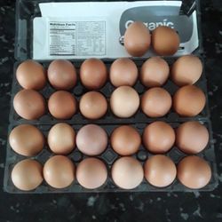 Fresh brown Organic Eggs.