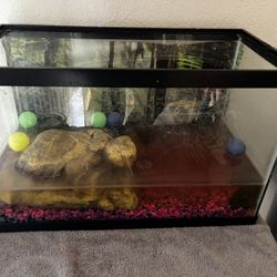 10 Gallon Glass Aquarium Tank