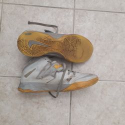 Nike LeBron Basketball Shoes