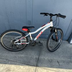 Fuji Dynamite 24 Sport Bike
