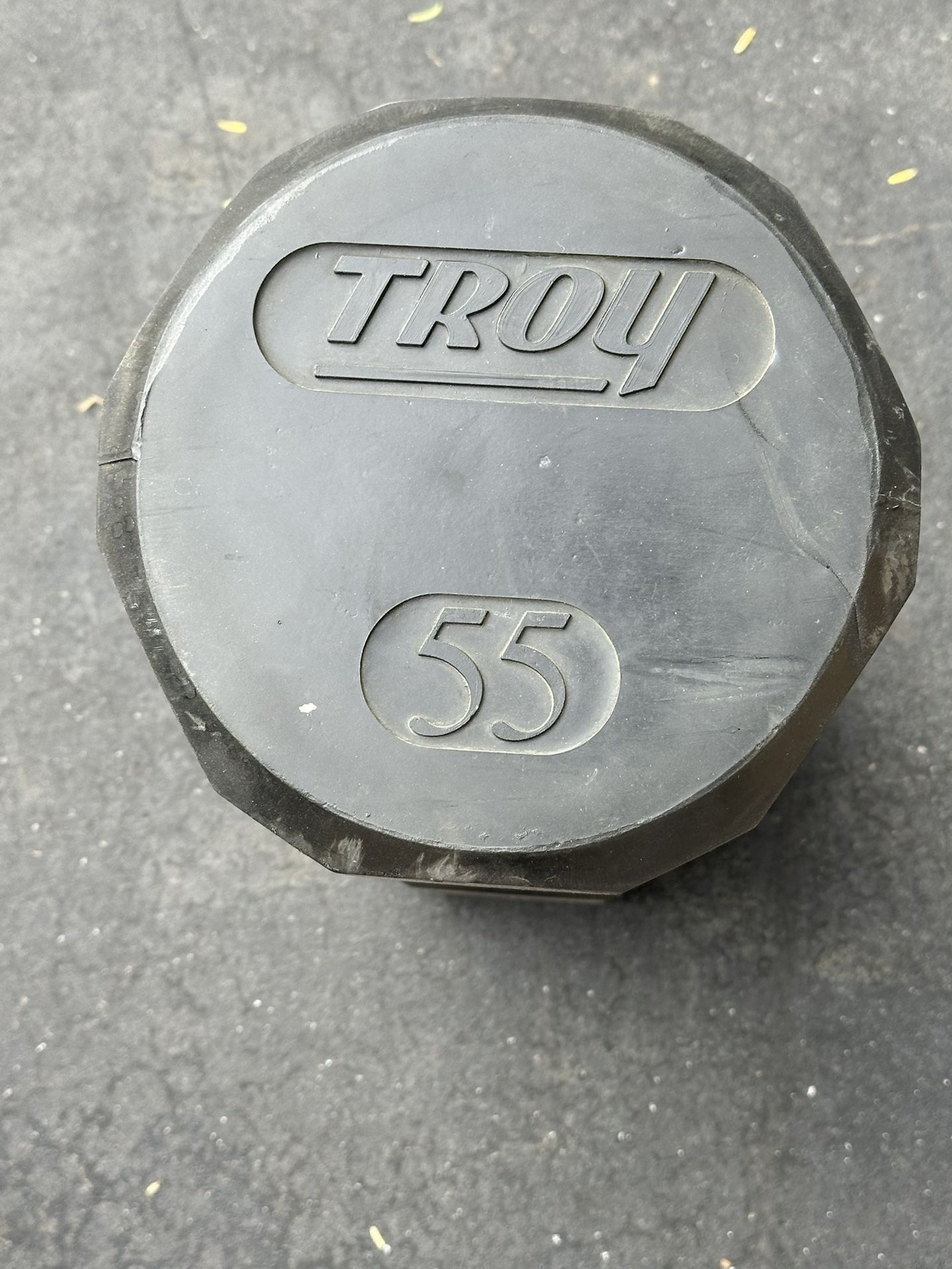 Single 55 Lb Troy Dumbbell