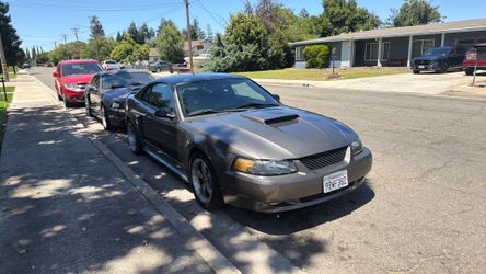 2003 Ford Mustang