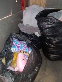 Free 3 bags of teddy bear