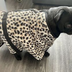 Large Dog Jacket