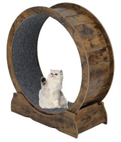 Cat Wheel Treadmill
