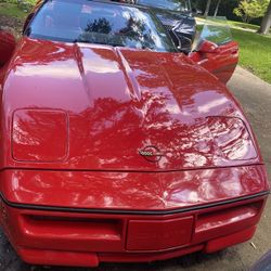 Classic  Mustang Convertible 🌸