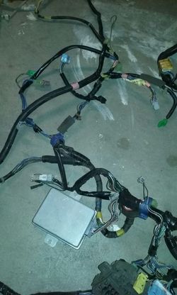 1996-2000 HONDA CIVIC WIRE HARNESS