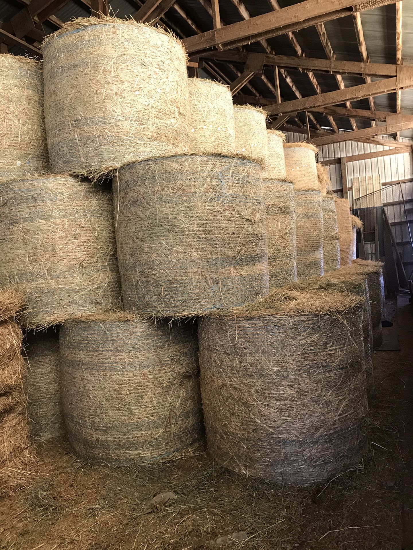 Hay- dry round bales