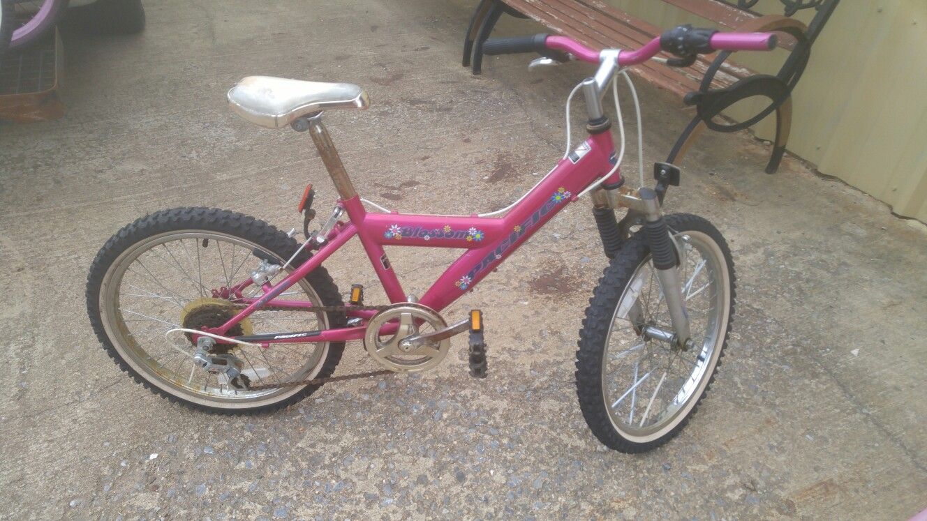 20" girls bicycle