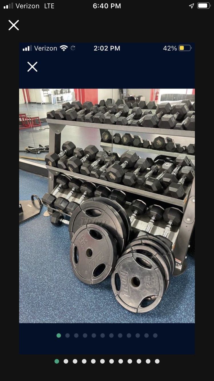 Weights, Dumbbells, Bumper Plates, Benches And Racks