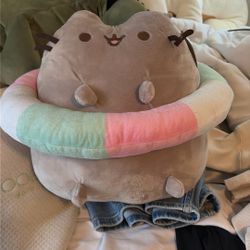 Pusheen 
