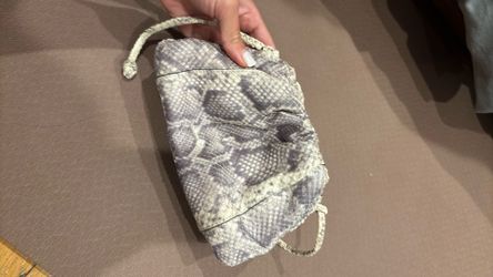 Bottega purse