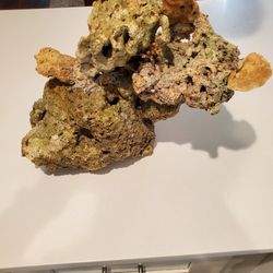 Dry Rock Aquarium Decor