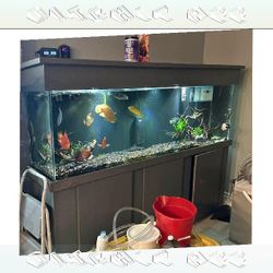 instead continue High-Quality Aquarium System - Premium Standard Choice