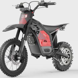 Electric Fat Tire Bike