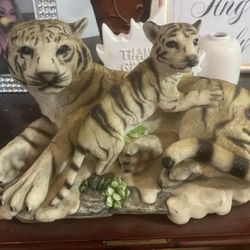 Tigers Home Display