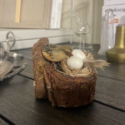 Bird And Eggs 