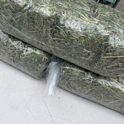 Critter Hay For Rabbits Etc