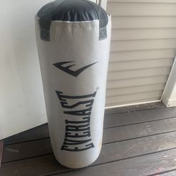Everlast Punching Bag