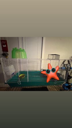 CAGES