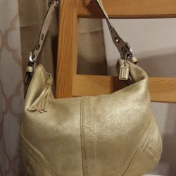 Coach Soho Hobo Goat Suede Purse