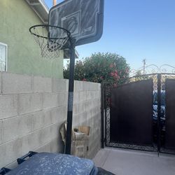 Basketball Court