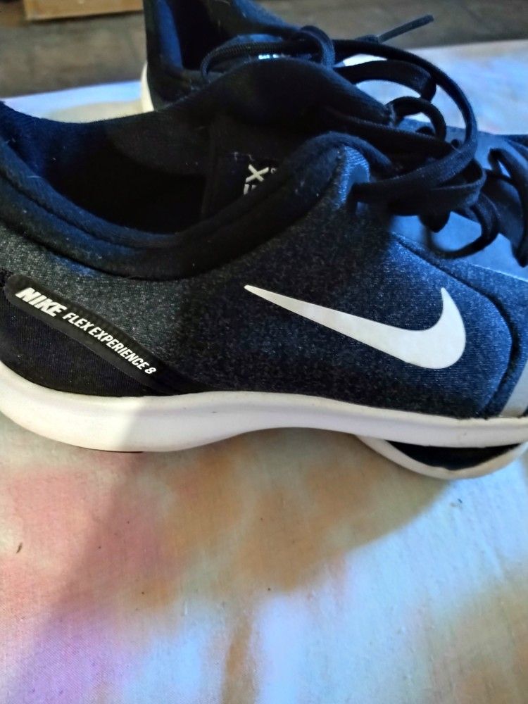 Nike Flex Shoe