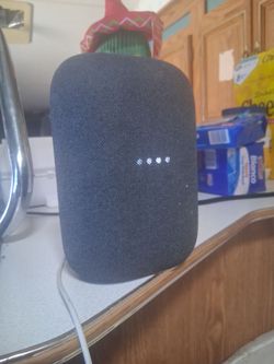 Google nest audio