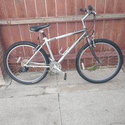 Specialized Expedition Bike - (Adult Bike)