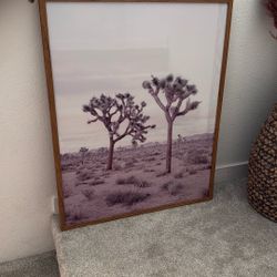 Framed Desert Print