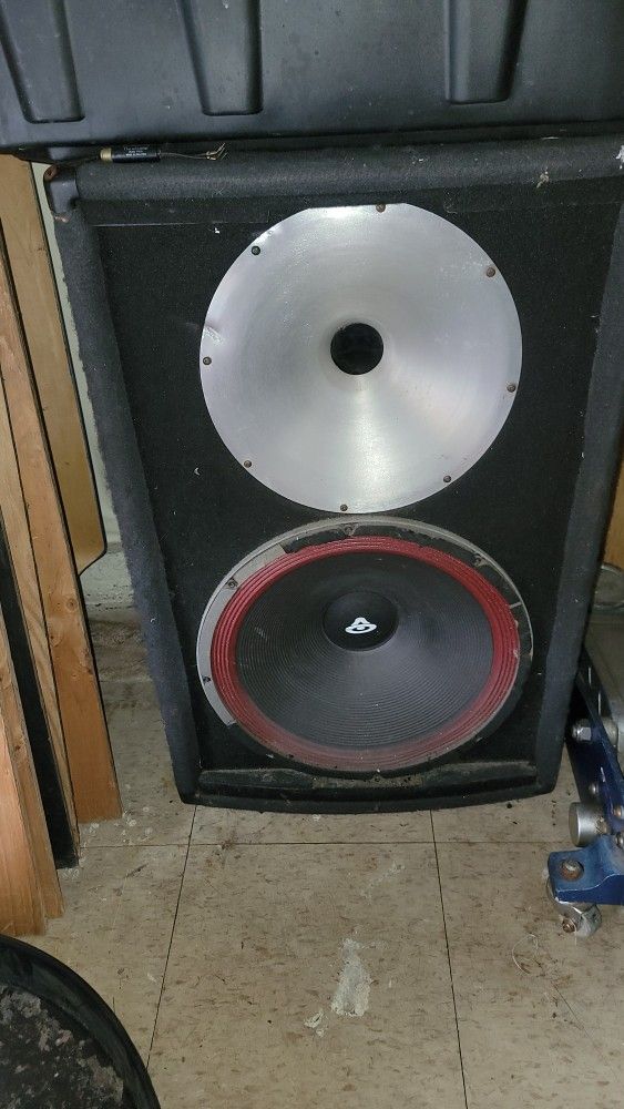 12 Inch D.j Speaker