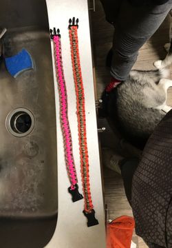 Dog collars