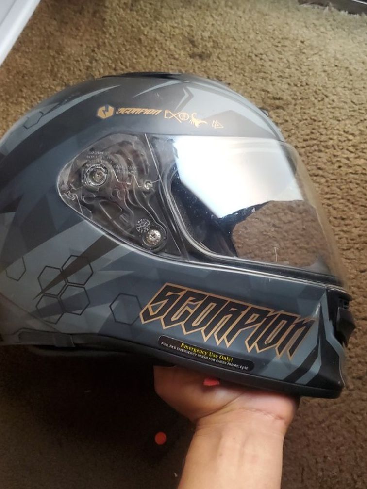 Helmet Scorpions