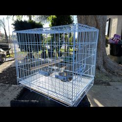 Bird Carrier