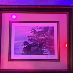 Wood Duck Art By Randy McGovern