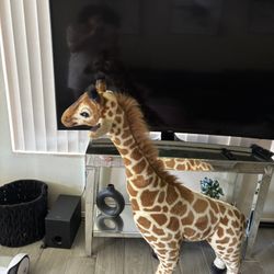 Giraffe 🦒 