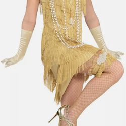 Halloween costume sexy Flapper Girl 20s party Gold Champagne Color One Size 5 pc Thumbnail
