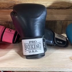 Pro Boxing USA 10oz Boxing Gloves