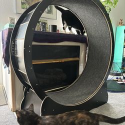 Cat Wheel
