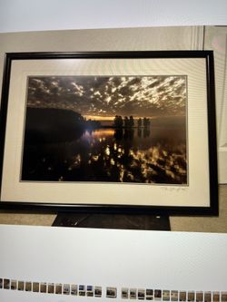 Yellowstone Clouds Framed Signed Print Thomas Mangelsen