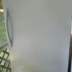 Commercial Stand Up Freezer 