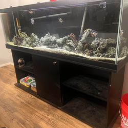 125 gallon fish tank