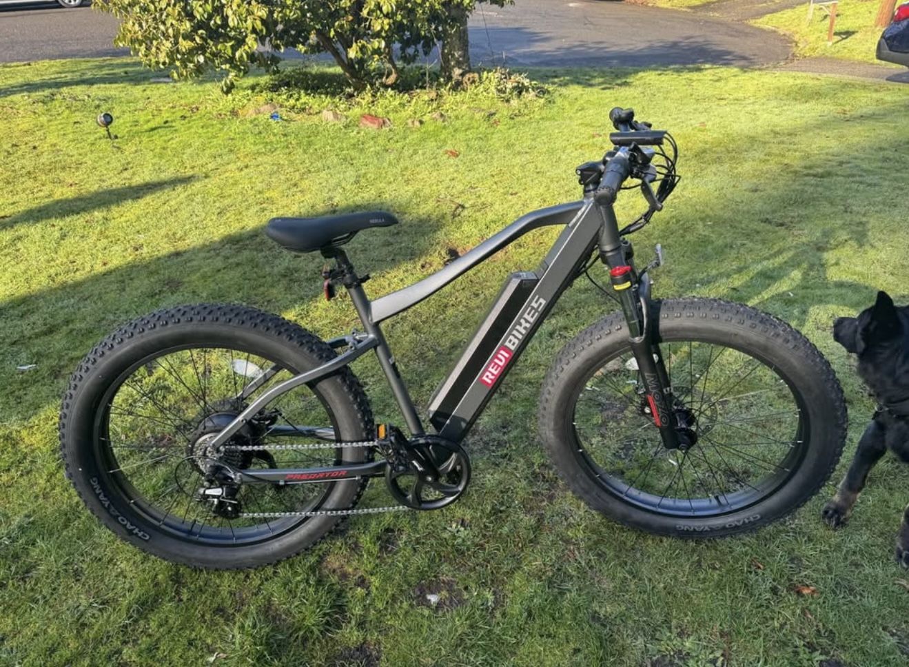 Bicicleta Eléctrica