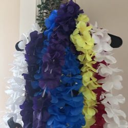 Graduation Leis