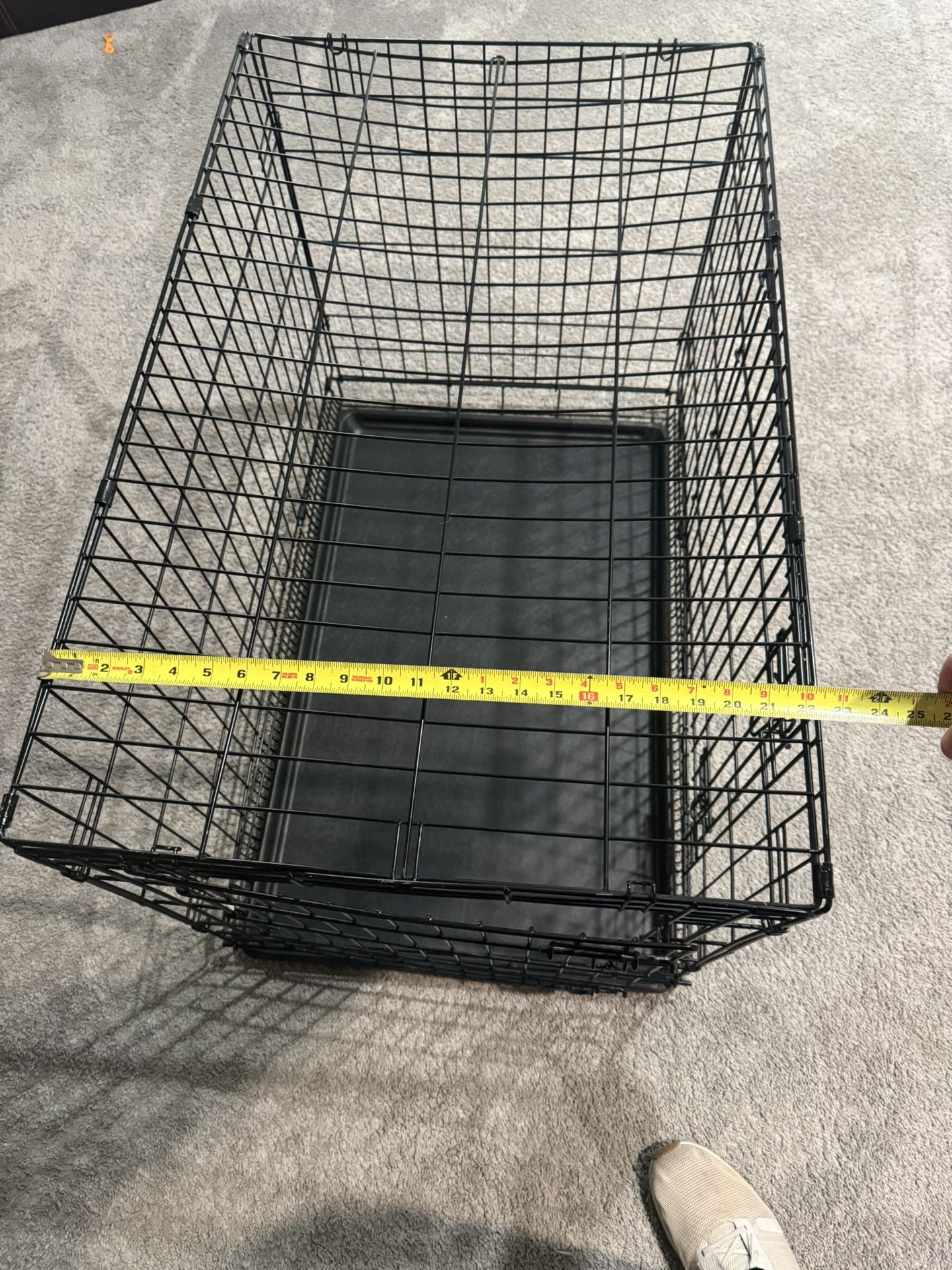 Dog Kennel